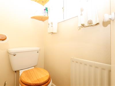 Picture 24